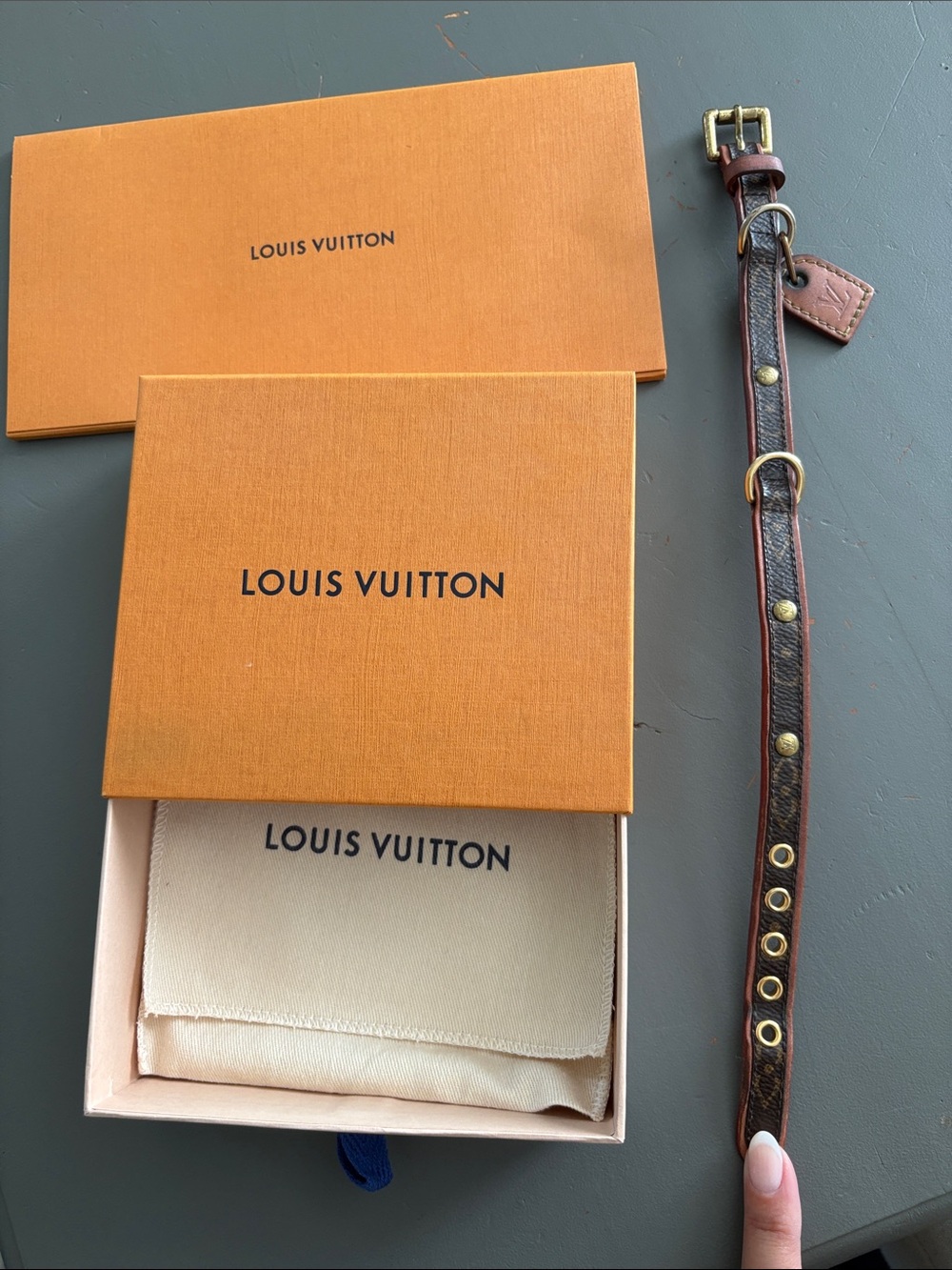 Louis Vuitton Brown Monogram for Dog or Cat